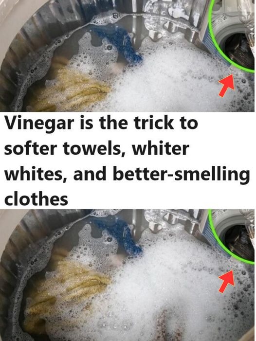 Vinegar is the trick to softer towels, whiter whites, and better-smelling clothes